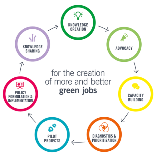 The Role of Sustainability Jobs