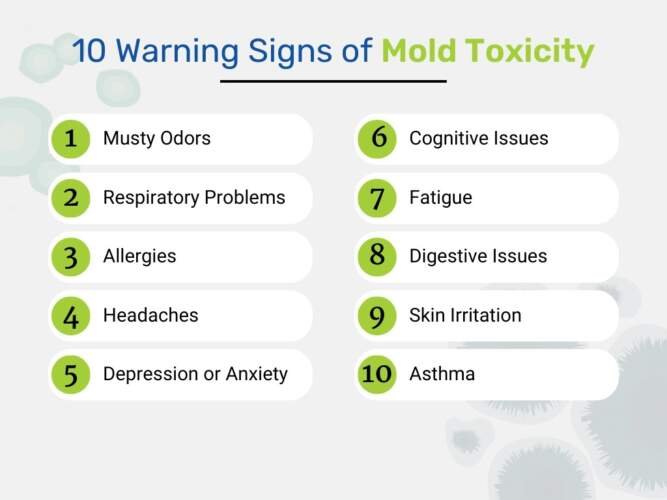 10 Warning Signs Of Mold Toxicity