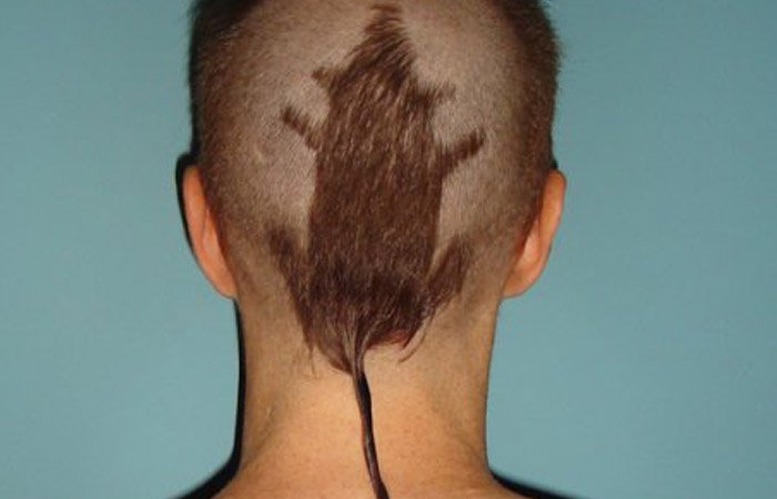 The Rat Tail