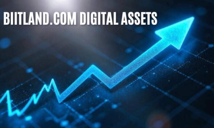 biitland.com digital assets