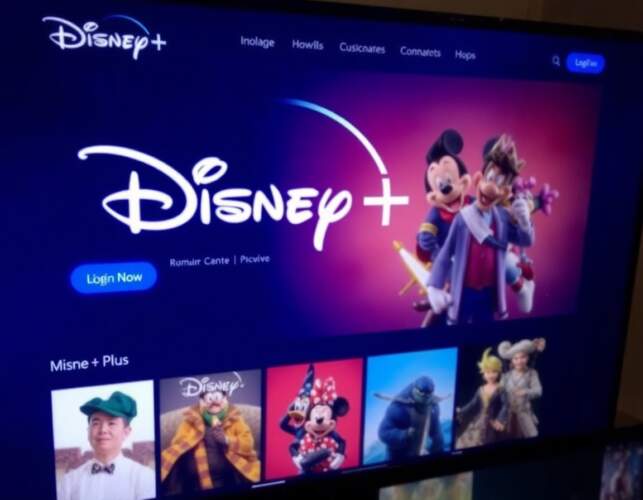 Disneyplus.com Login/Begin